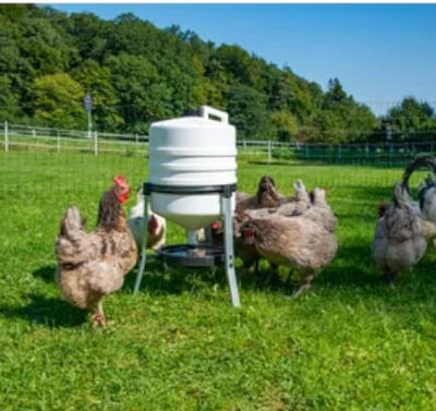 Bulk Chicken Drinker.