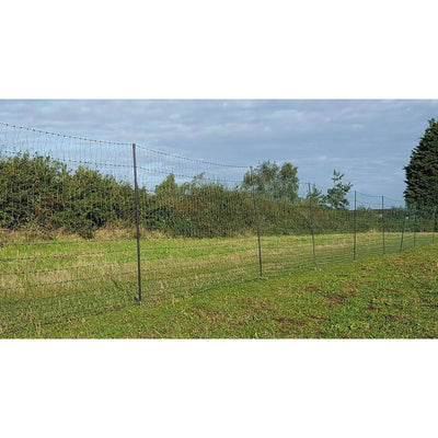 Tallest chicken electric net