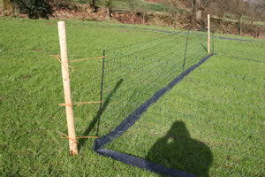 Weed Suppressor laid below an Electric Net