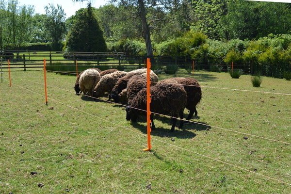 3 reel electric fencing kit supplied complete ready to use. - Agrisellex UK