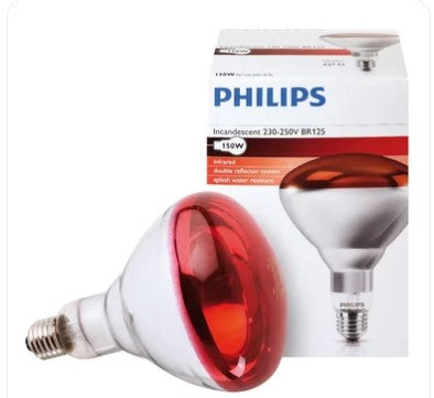 Philips Infra Red Bulbs