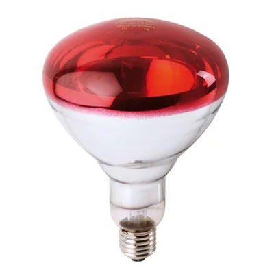 Philips Infra Red Bulbs