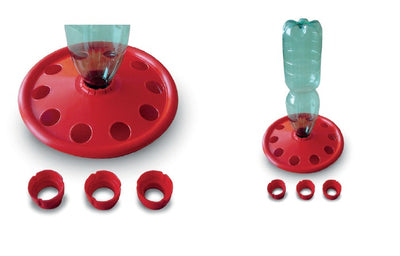 Bottle Chick Drinker