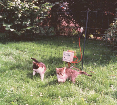 Electric Net for badgers