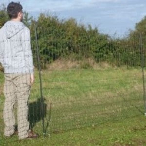 Electric Chicken Netting - tallest net is 90% more secure