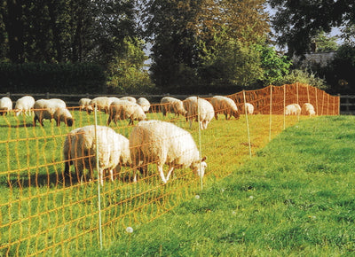 Hotline Sheep Netting